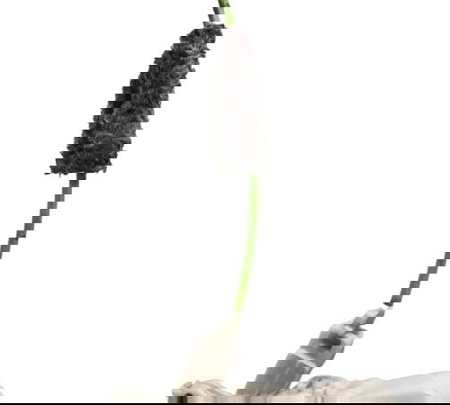 Fechadura Elétrica Porta Traseira Esquerda Vw Fox 2015/18