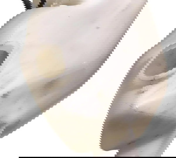 Reservatório Agua Para Brisa Renault Sandero 08/2011 Origin