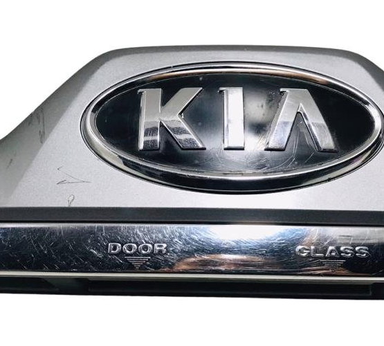 Moldura Placa Aplique Kia Sportage 2005/2010 925011f5
