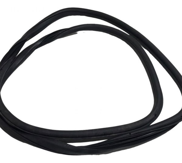Borracha Porta Dianteira Direita  Fiat Argo 1.0 2022