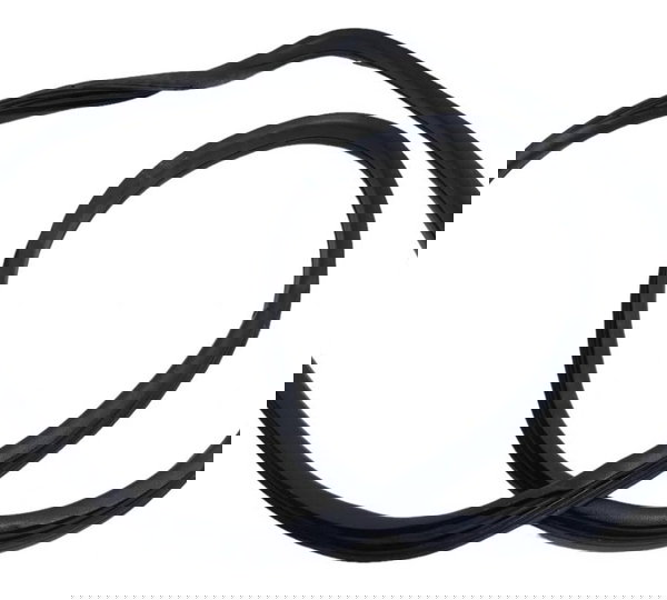 Borracha Porta Dianteira Direita  Fiat Argo 1.0 2022