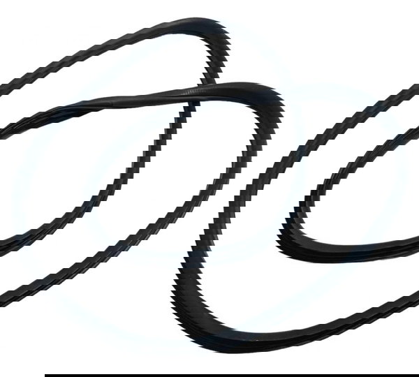 Borracha Porta Traseira Direita Fiat Argo 1.0 2022