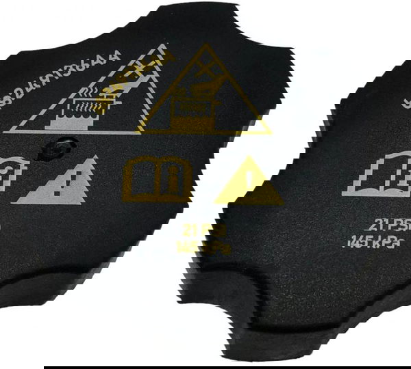 Tampa Reservatório Água Radiador Fiat Argo Cronos 2022