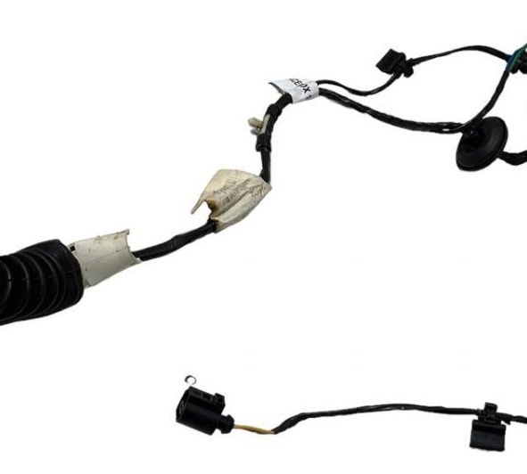 Chicote Porta Traseira Direita Volkswagen Spacefox 2018