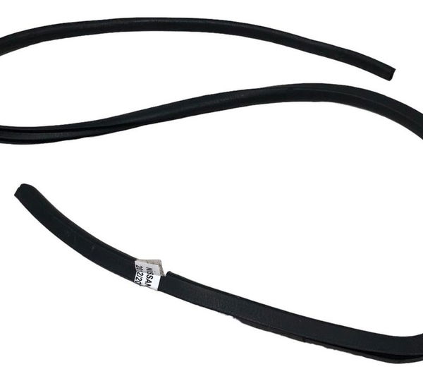 Borracha Porta Traseira  Direita Nissan March 1.6 2013