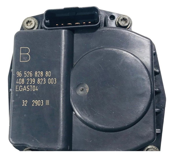 Corpo Borboleta Tbi Peugeot 307  Citroen Picasso 2.0 2005/11