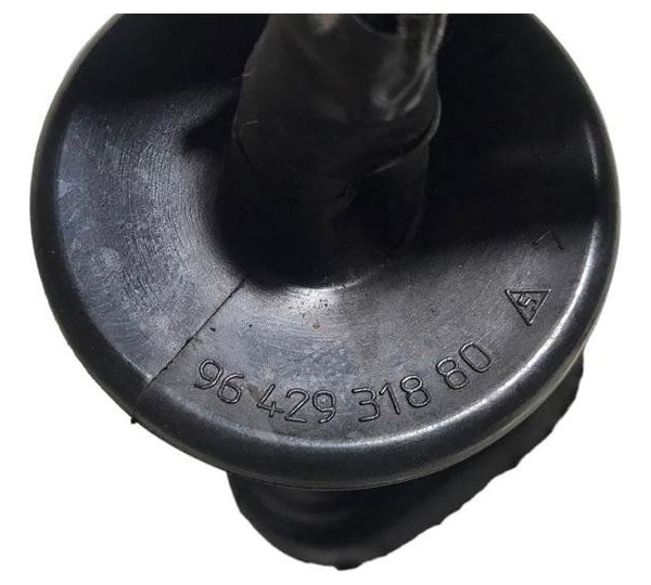Chicote Porta Dianteira/direita Citroën C4 Pallas 2009/10