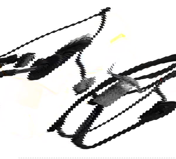 Chicote Porta Traseira Ld Citröen C4 Hatch/pallas 2009/2010