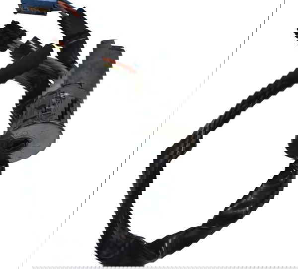 Cilindro De Ignição S/chave Peugeot 206 Original