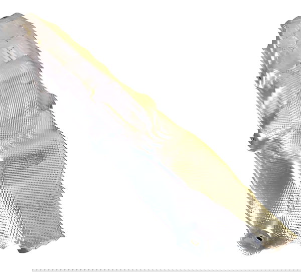 Defletor Protetor Calor Escapamento Fiat Argo 2020