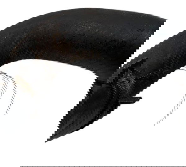 Mangueira Água Chevrolet Classic 1.0 2012