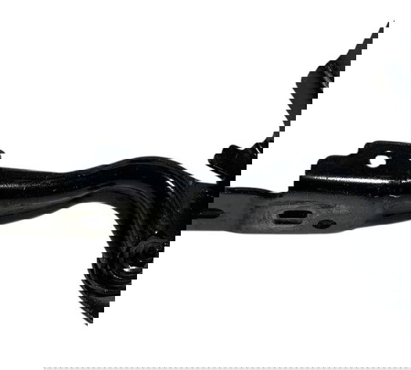 Braço Dobradiça Capo Lado Esquerdo Fiat Argo Drive 1.0 2018