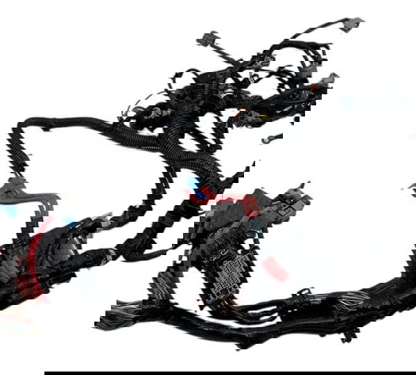 Chicote Motor Renault Duster 1.6 16v 2021