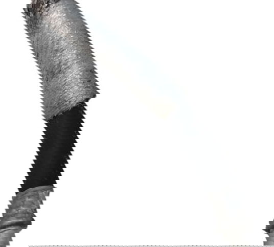 Mangueira Ar Condicionado Captiva Sport 3.6 V6 2010