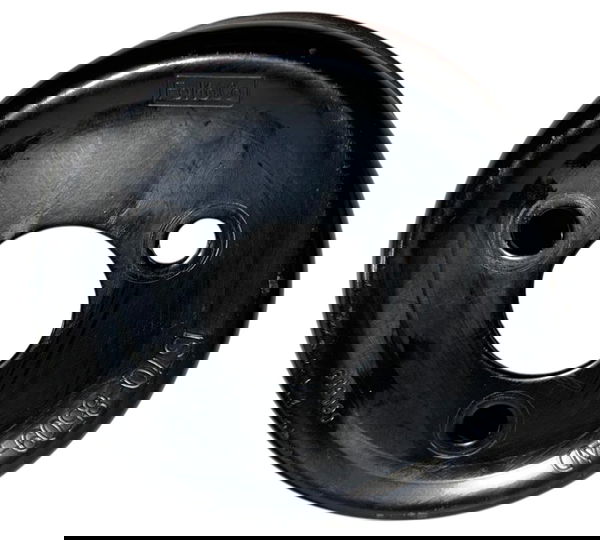 Polia Bomba Água Ford Focus 2.0 16v 2009