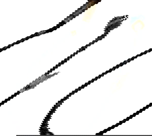 Sonda Lambda Secundaria Ford Focus Volvo C30 2.0 2009