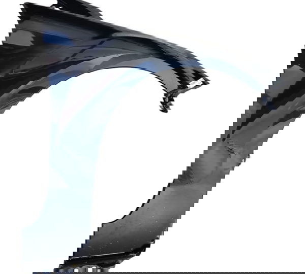 Paralama Direito Focus 2009 A 2013 Paralama