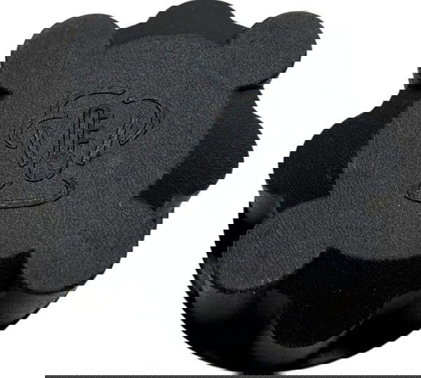 Tampa Reservatório Água Ford Focus 2.0 2009