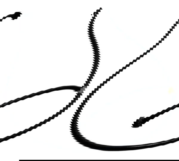 Esguicho Brucutu Capo Renault Sandero 1.6 2015