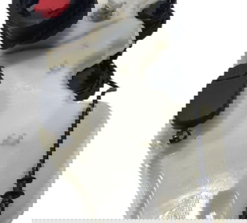 Reservatório Limpador Partida Frio Sandero 2018 289104316r