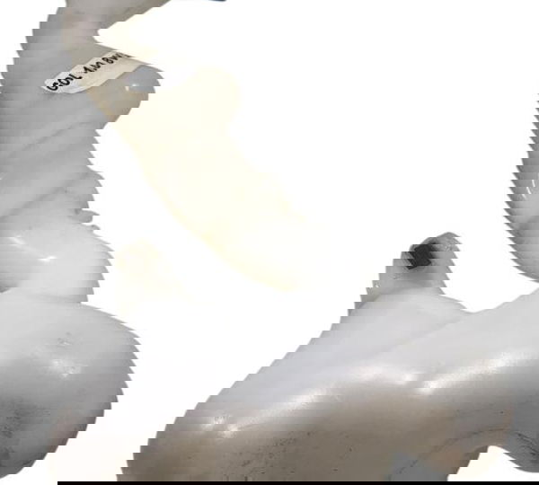 Reservatório Limpador Parabrisa Vw Fox Gol G7 5u7955453