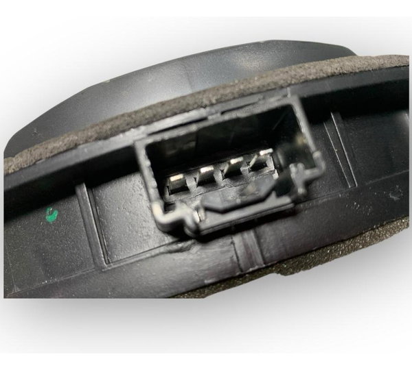 Alto Falante Porta Ford Ecosport 1.5 2020/2021
