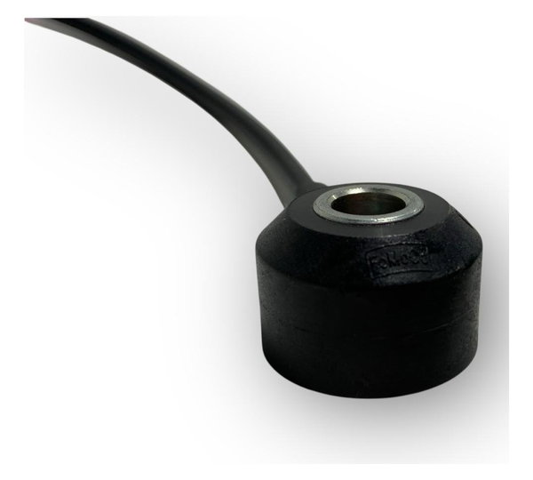 Sensor Detonação Ford Ecosport Ka 1.5 2021 340620038