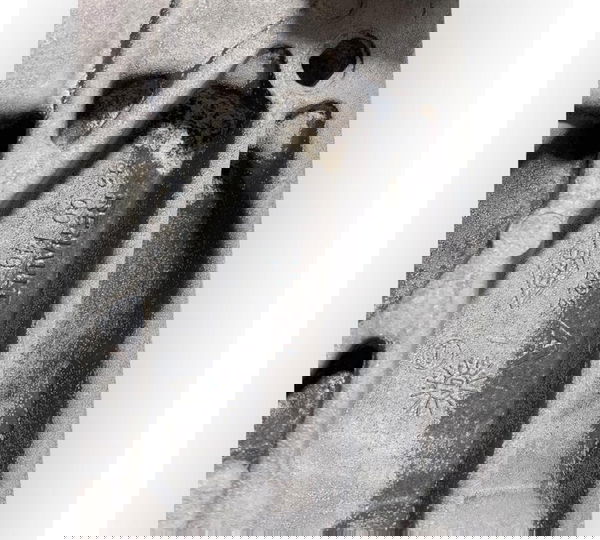 Tampa Lateral Motor Renault Scenic 1.6 2002 8200140222