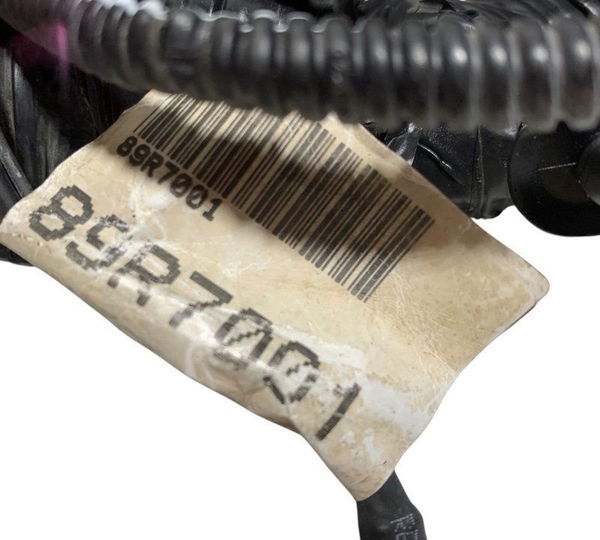 Chicote Injeção Renault Kwid 2018/19