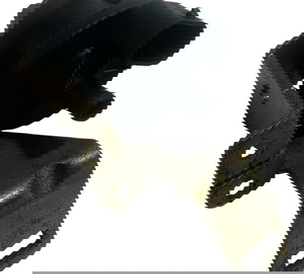 Válvula Canister Fiat Palio Gm Astra Zafira 2001/2008