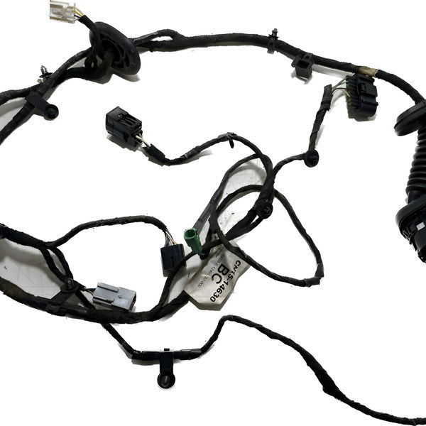 Chicote Porta D. D Ford Ecosport 13/17 Cx363