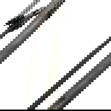 Galhada S/ Motor Limpador Para-brisa Stilo 2003