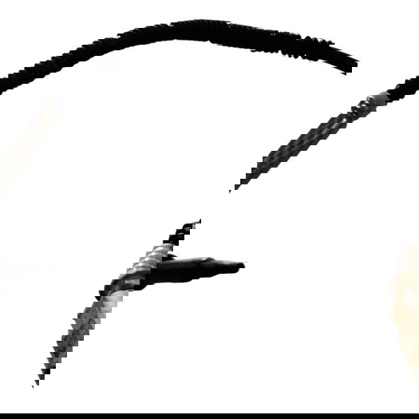 Sensor De Temperatura Amarok 3.0 V6 2019 Cx730