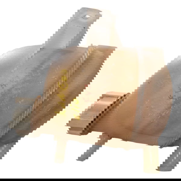 Reservatório Agua Radiador Clio/kangoo 2003 Cx731