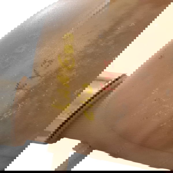 Reservatório Agua Radiador Clio/kangoo 2003 Cx731