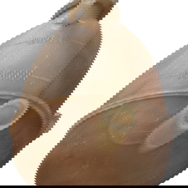 Reservatório Agua Radiador Clio/kangoo 2003 Cx731