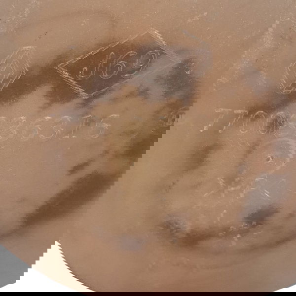 Reservatório Agua Radiador Clio/kangoo 2003 Cx731