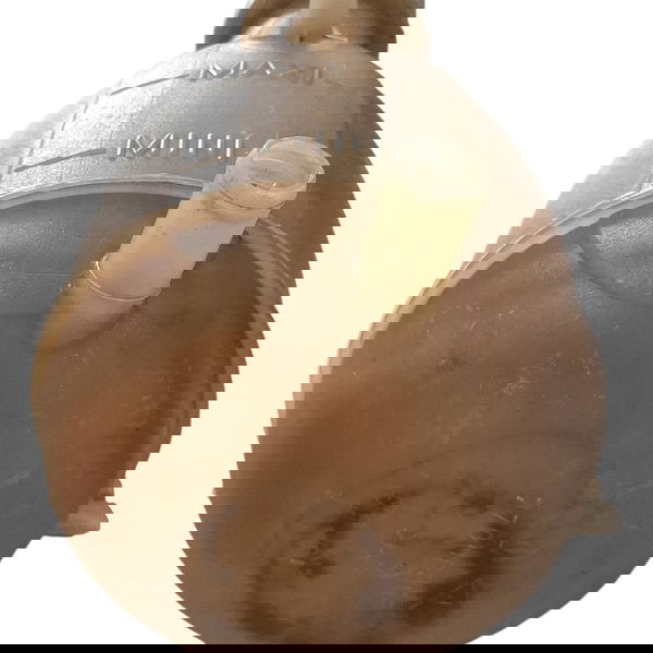 Reservatório Agua Radiador Clio/kangoo 2003 Cx731