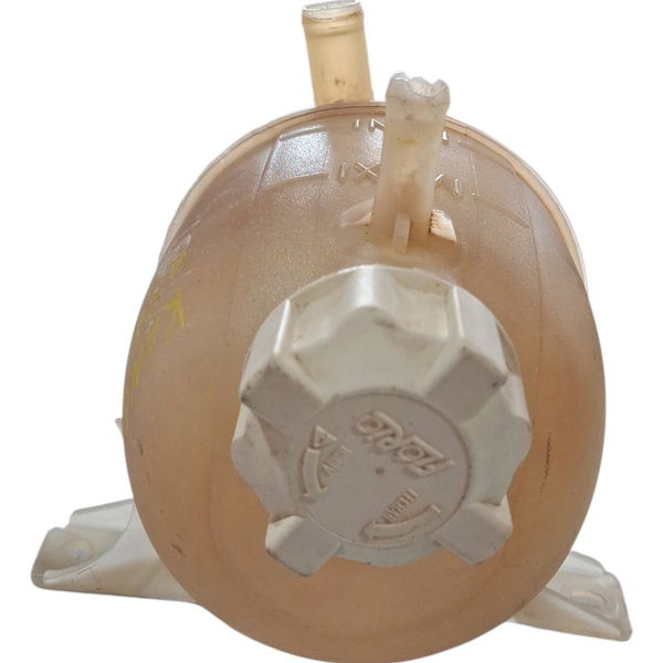 Reservatório Agua Radiador Clio/kangoo 2003 Cx731