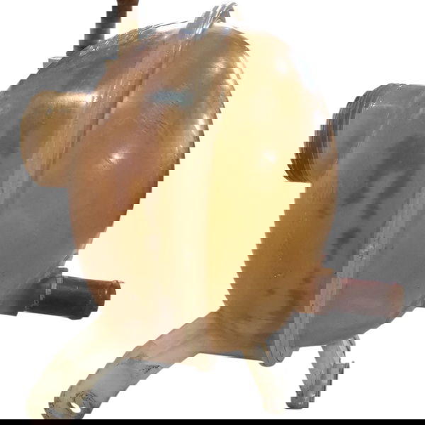 Reservatório Agua Radiador Corsa 1997 Cx731