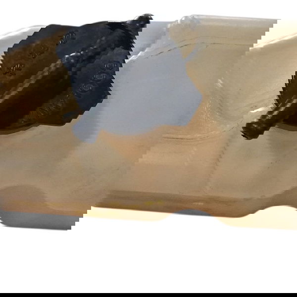 Reservatório Água Radiador Toyota Camry 1997 Cx733