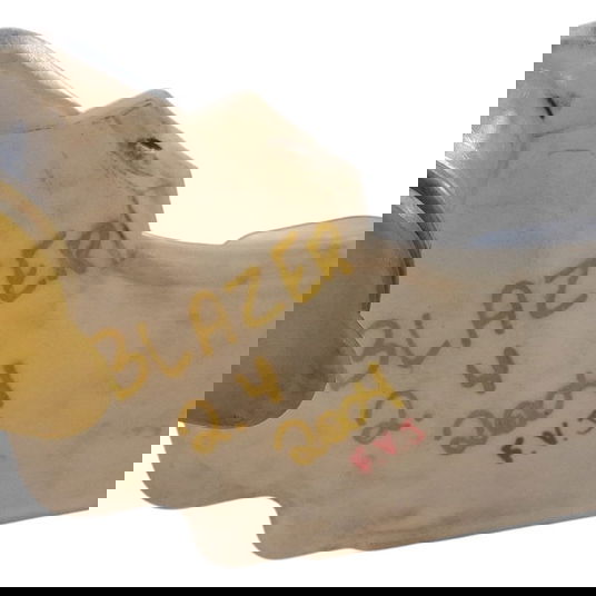 Reservatório Agua Motor Blazer 2.4 2004 Cx733