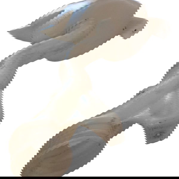 Reservatório Limpador Berlingo 2001 Branco