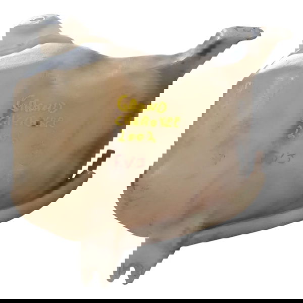 Reservatório Agua Radiador Grand Cherokee 2002 Cx736