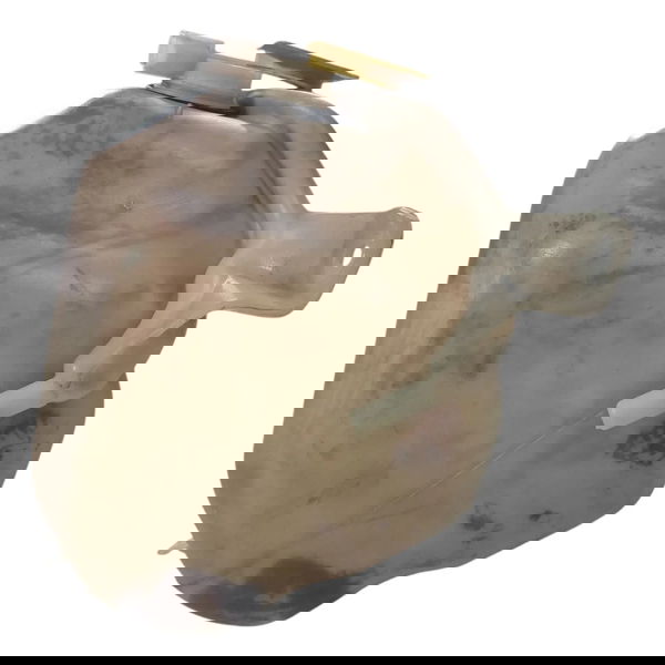 Reservatório Agua Radiador Grand Cherokee 2002 Cx736