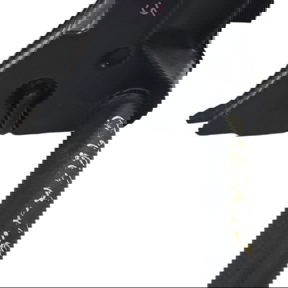 Reservatório Radiador Omega 3.8 2001 Cx737