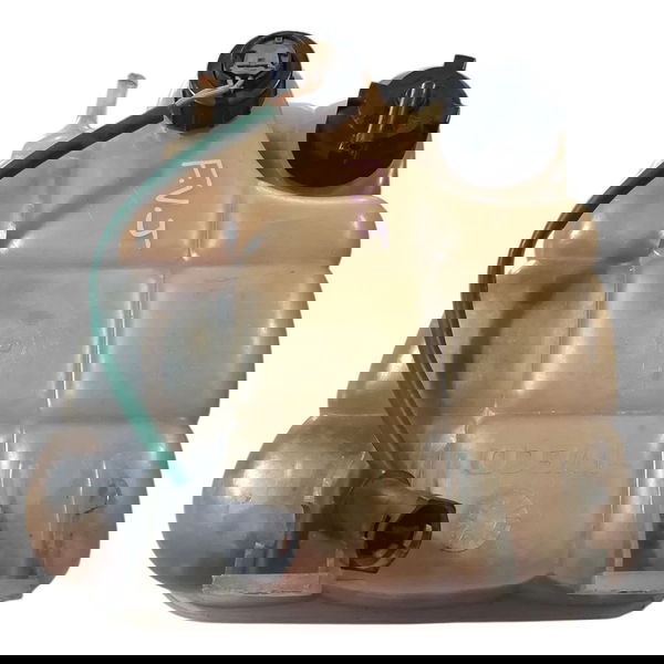 Reservatório Água Radiador Iveco Daily 97/07 Cx737