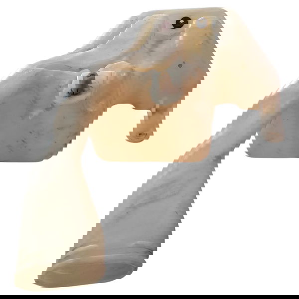 Reservatório Água Para-brisa Pointer/escort Xr3 1993 Cx742