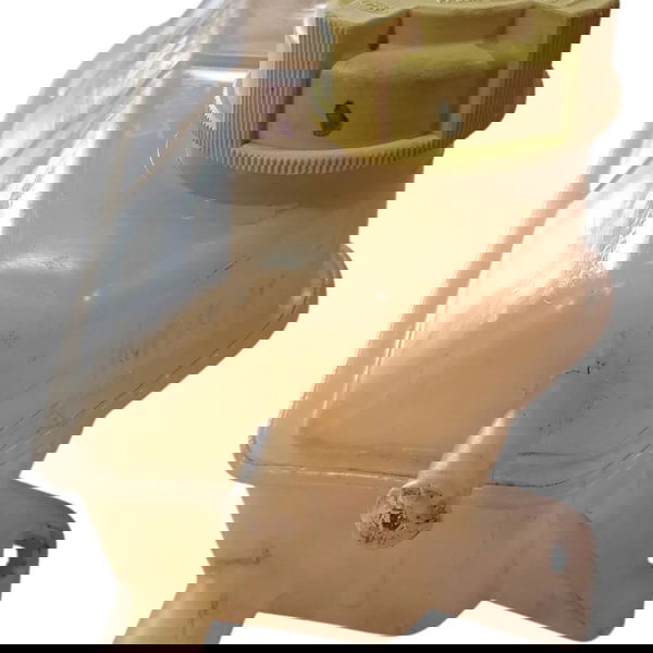 Reservatório Radiador Ford Ka 2006 Cx742