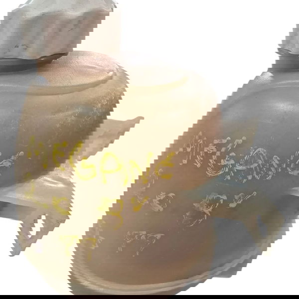 Reservatório Agua Radiador Megane/scenic 1999 Cx738